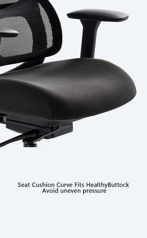 Fully Adjustable Ergonomic Chair with Lumbar Support