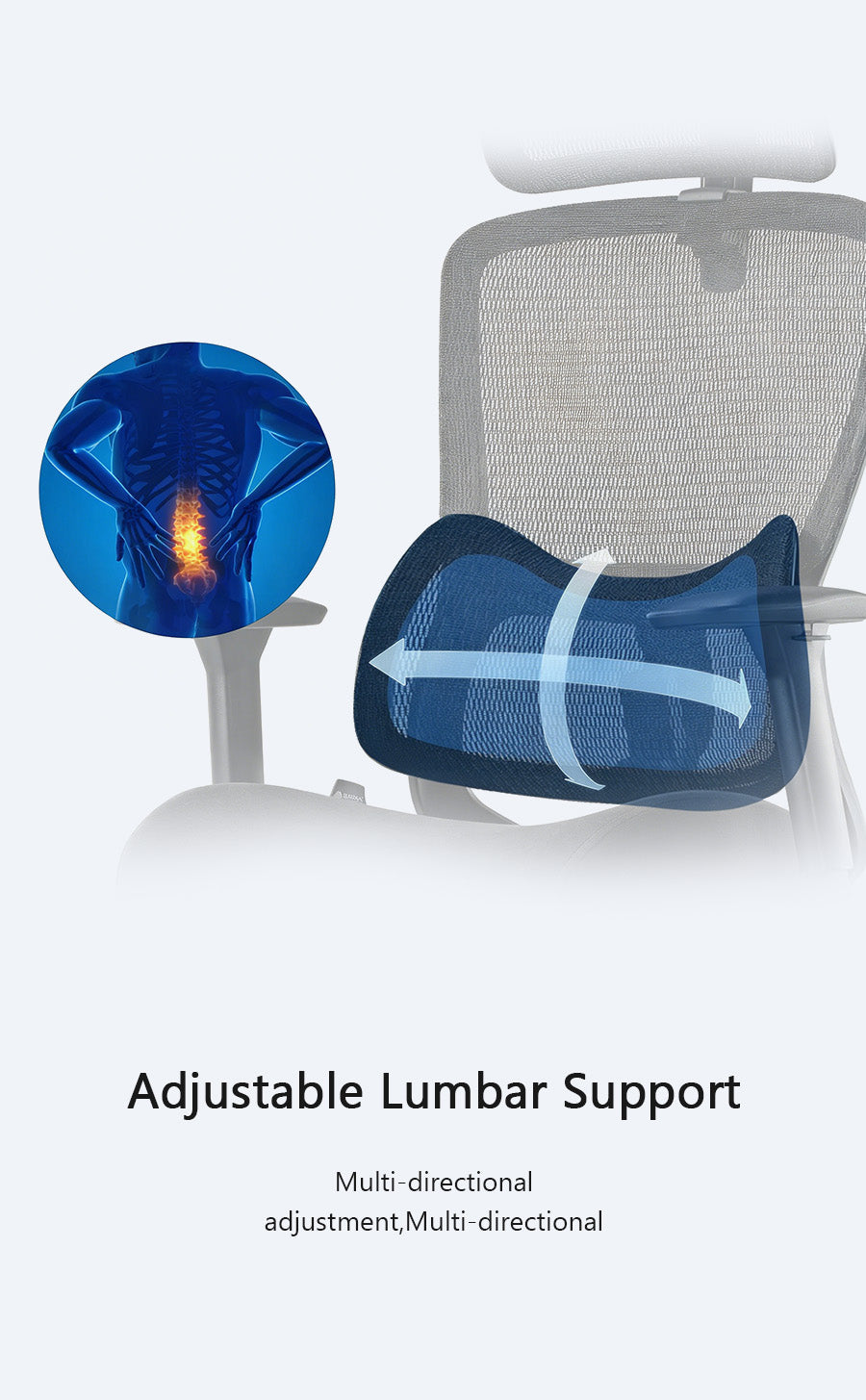 Fully Adjustable Ergonomic Chair with Lumbar Support