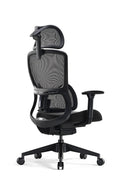 Fully Adjustable Ergonomic Chair with Lumbar Support